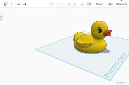duck   