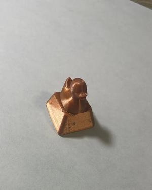 duck keycup   