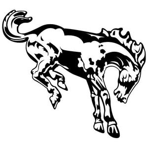 Ford Motor Co. Bronko horse logo