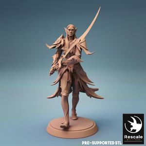 Elf warrior Sword walk