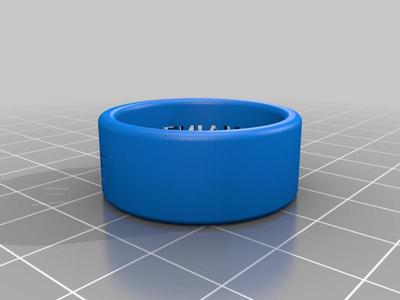 Maintenance ring