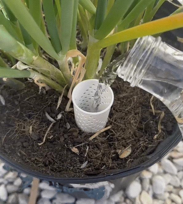 Plant Watering Assistant