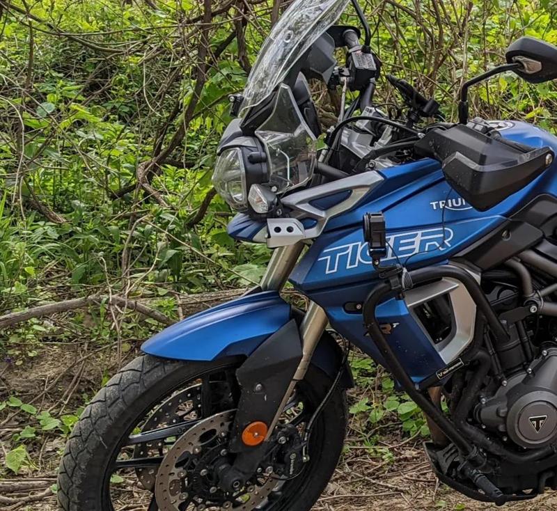 Triumph Tiger Signal Blanking Plates   