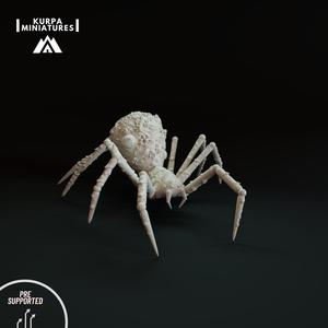 Giant Spider d