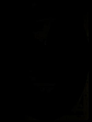 PkMN Card Dialga-Wall Mount