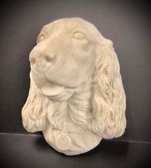 Spaniel