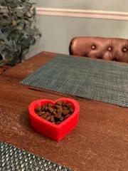 Valentines Day Dog/Cat Bowl   