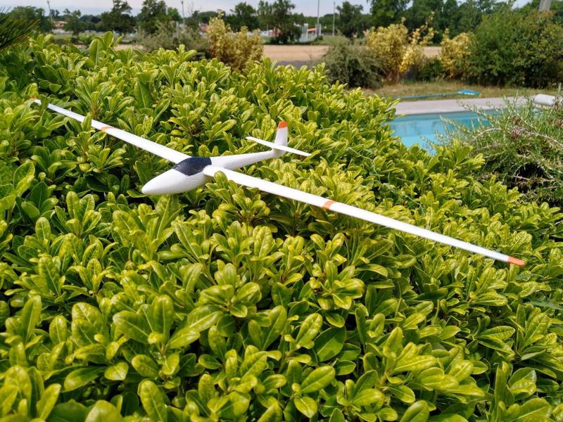 Glasflügel H-201 Libelle