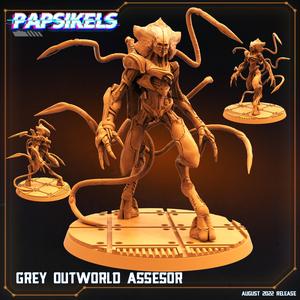 GREY OUTWORLD ASSESOR