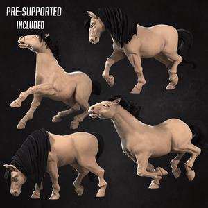 Horses (4 Versions)