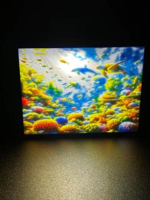 Underwater Lithophane
