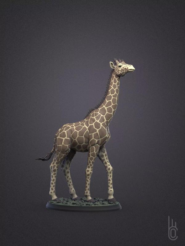 Rothschilds Giraffe