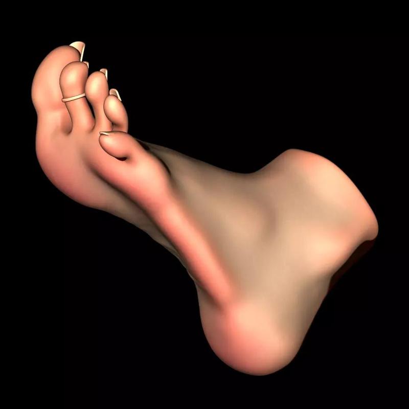 REAL SIZE FEMALE FOOT - MERGED MODEL 23 CM