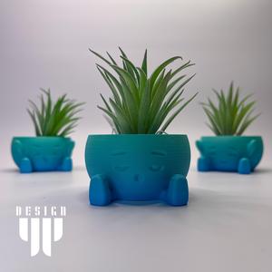 Kawaii Vases