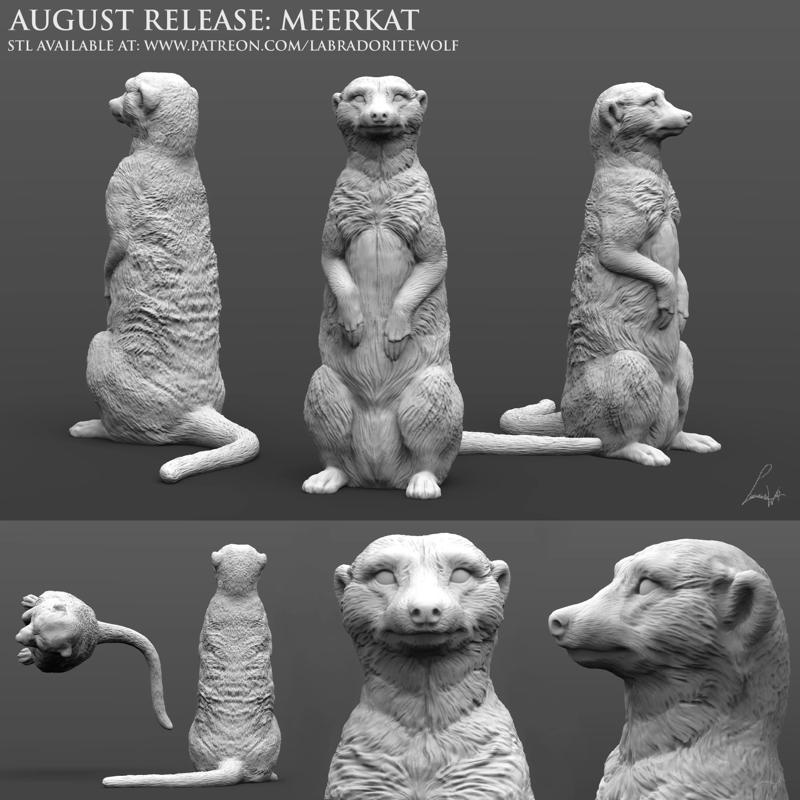 Meerkat august release