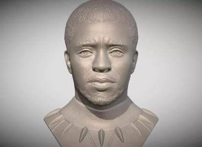 Chad Boseman Black Panther bust 3D printing ready stl obj