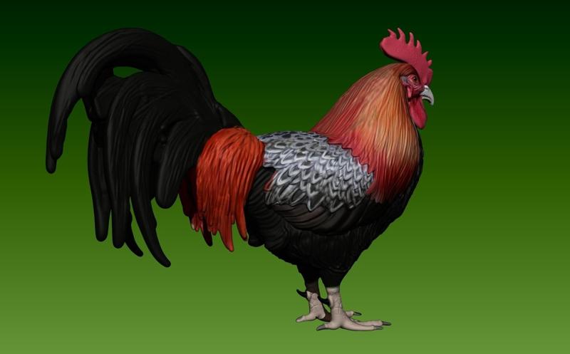 Rooster