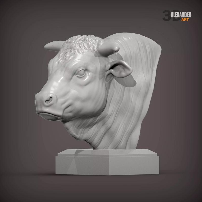 Charolais bust