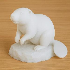 Beaver