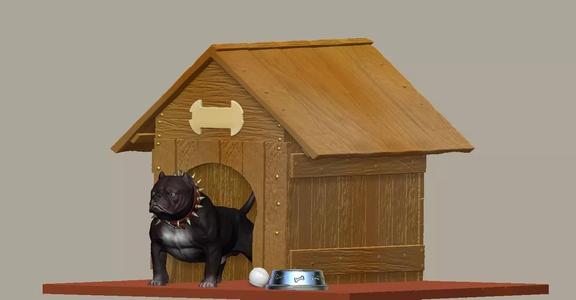 Bully Dog and Dog House