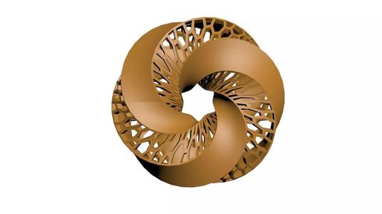Parametric Design Ring