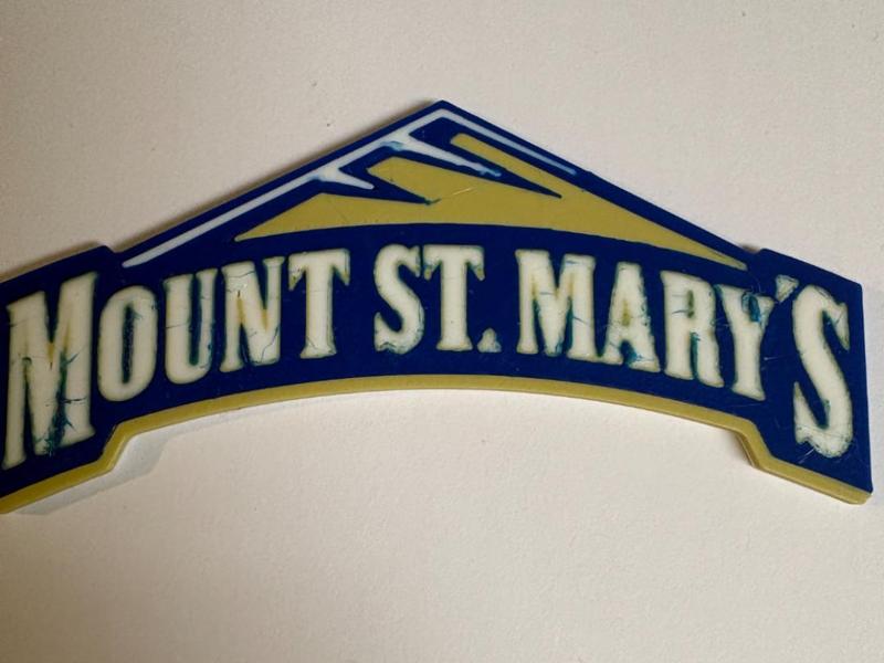 MOUNT SAINT MARY'S UNIVERSITY LOGO