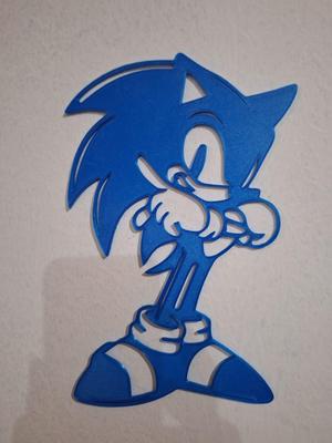SONIC vinyl style picture