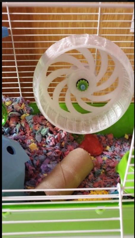 Hamster Wheel Bigger