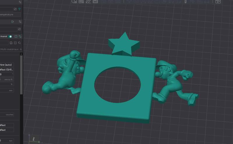 LEGRAND Mario Luigi switch cover. Plate