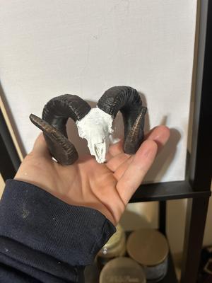full curl ram