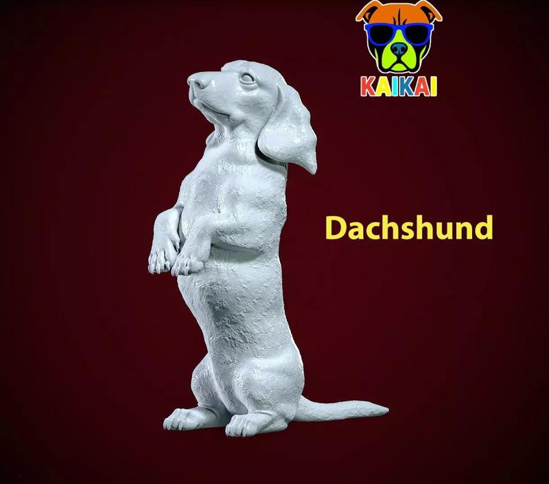 Dachshund Dog standing statue - Dachshund model - 3D print