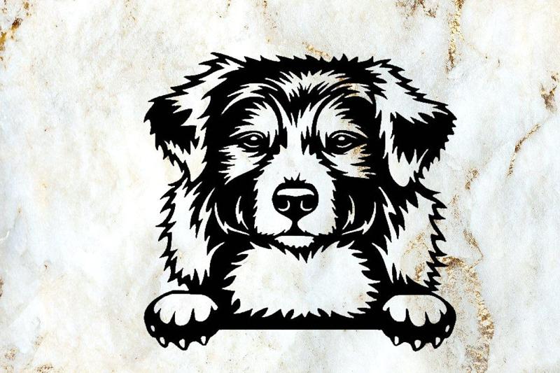 australian shepherd dog wall decoration deco wall pet mural