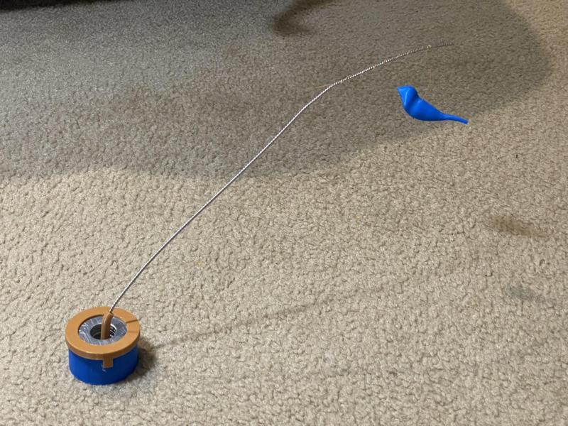 Bird Entertains the Cat