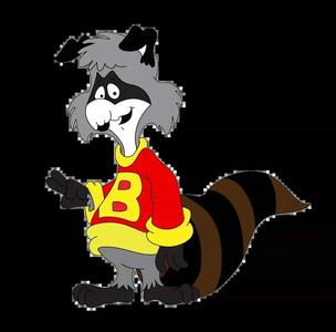 Bert Raccoon
