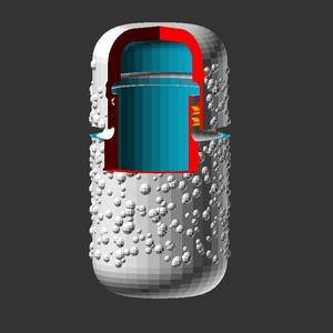 Capsule