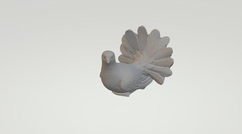 Indian Fantail Pigeon 3D print model