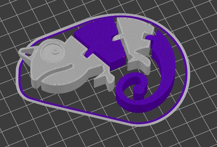 chameleon dual color