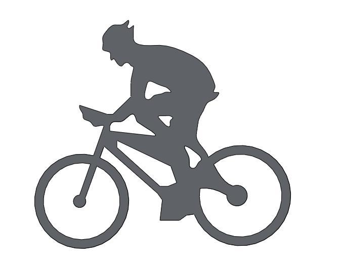 2D Wall Art - Cyclist - Road Bike - Mountain Bike - Bicycle Decoration