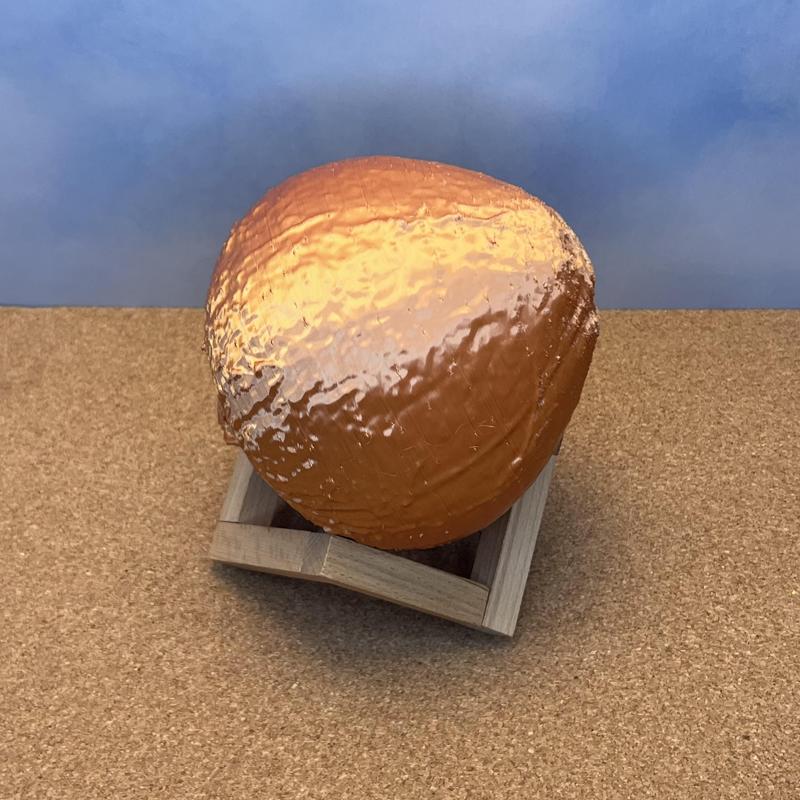 Coconut (3D Scan)