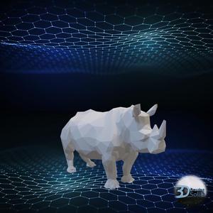 Rhino - Low Poly - Decor