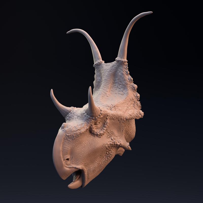 Diabloceratops head