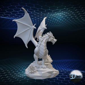 Dragon Decor