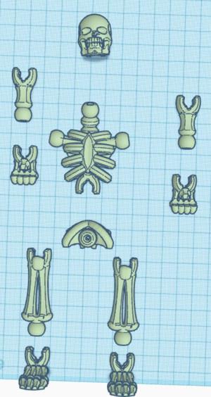 Skeleton