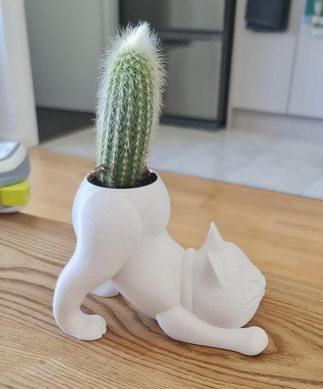 Cat Cactus Pot
