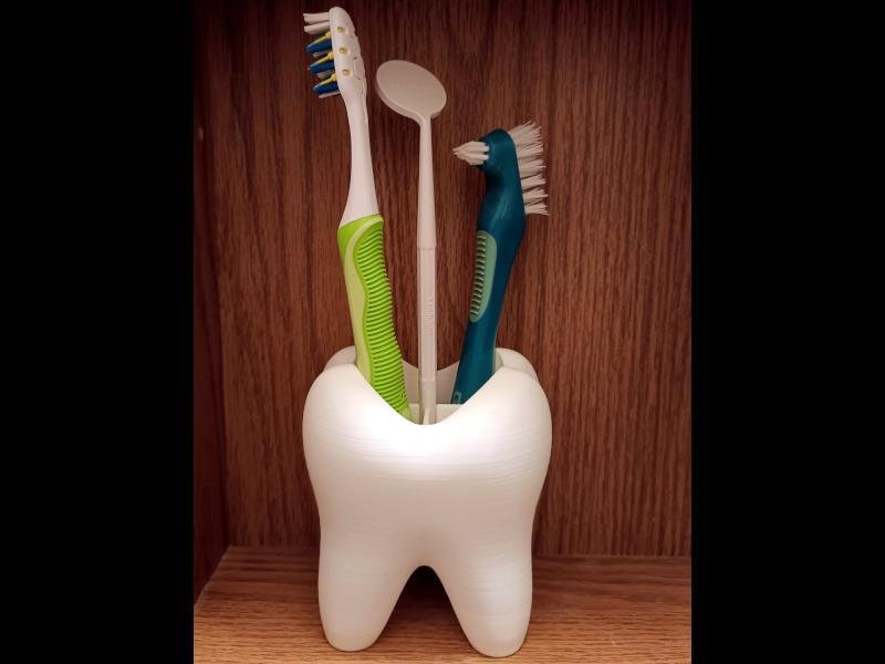 Toothbrush Holder Tooth