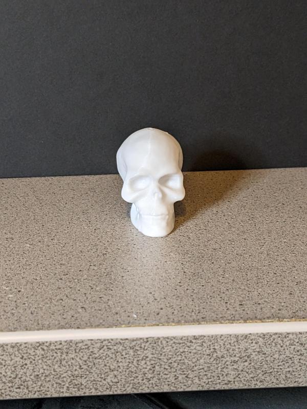A tiny human skull