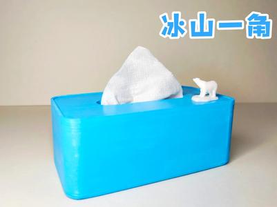 A Glimpse of the Iceberg—Tissue Box