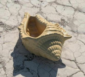 Shell Planter