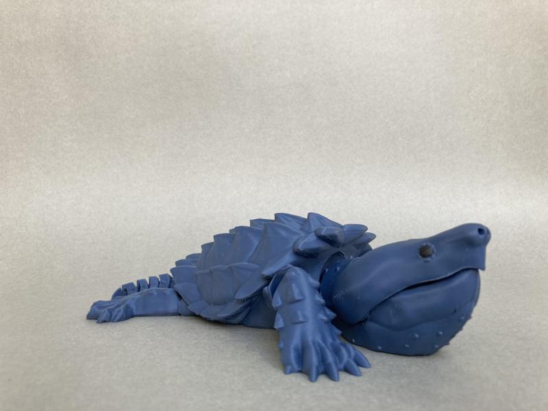 Alligator snapping turtle