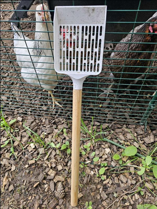 Chicken Pooper Scooper